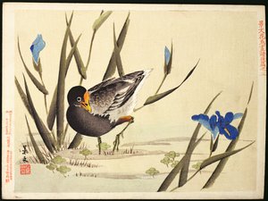 Wader amongst Rushes by Ohara Koson